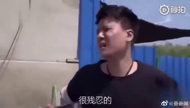 关于爱狗人士,听听这位三观超正的大哥...